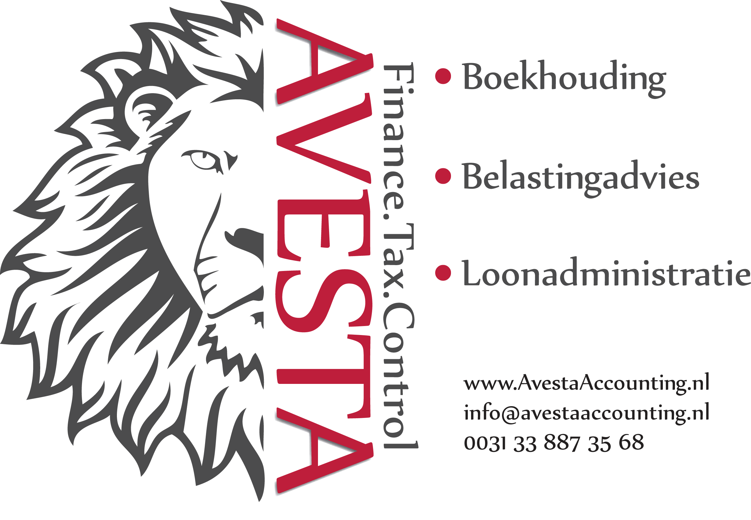 avesta-finance-tax-control